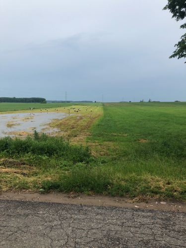 Bociany - widok ze studni głębinowej