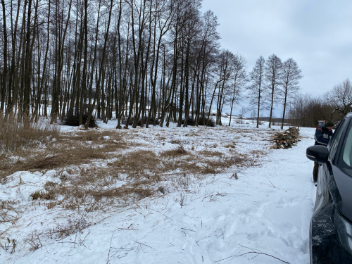 Wycinka trzciny i krzaków na bagnie w południowej części