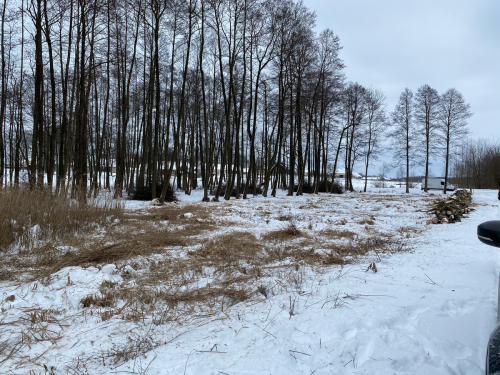 Wycinka trzciny i krzaków na bagnie w południowej części